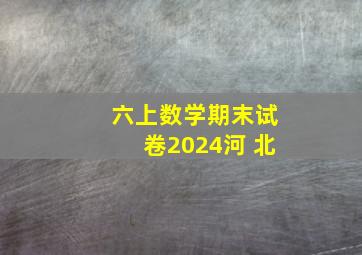 六上数学期末试卷2024河 北